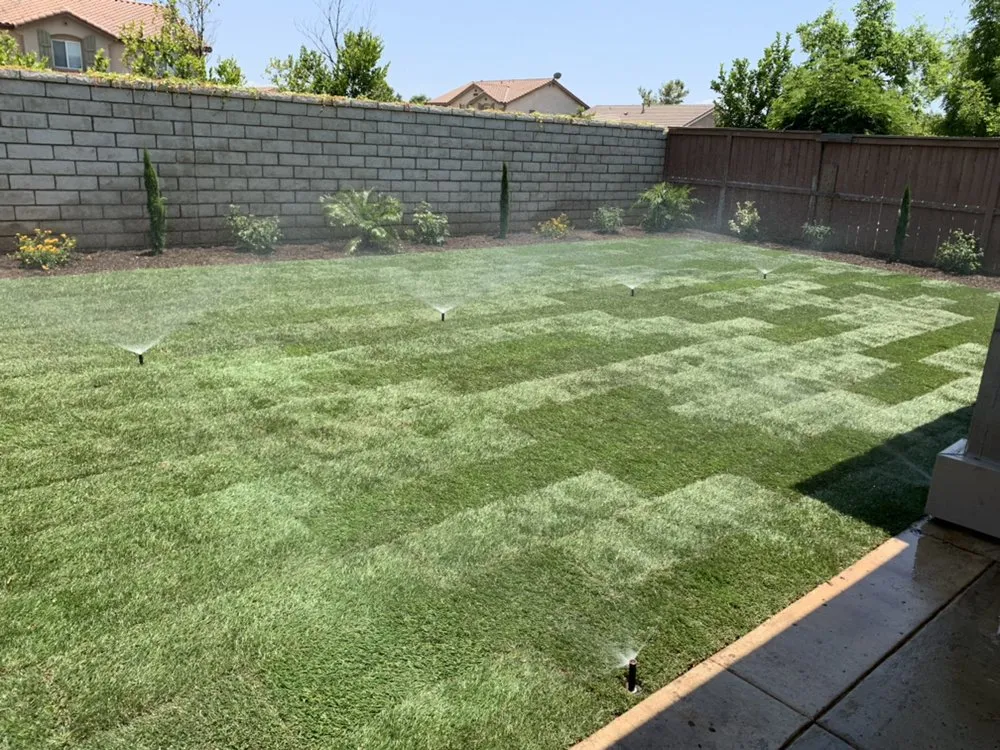 Local yard cleanup service for residential properties in Santa Ana, CA by Green Plus Landscaping
