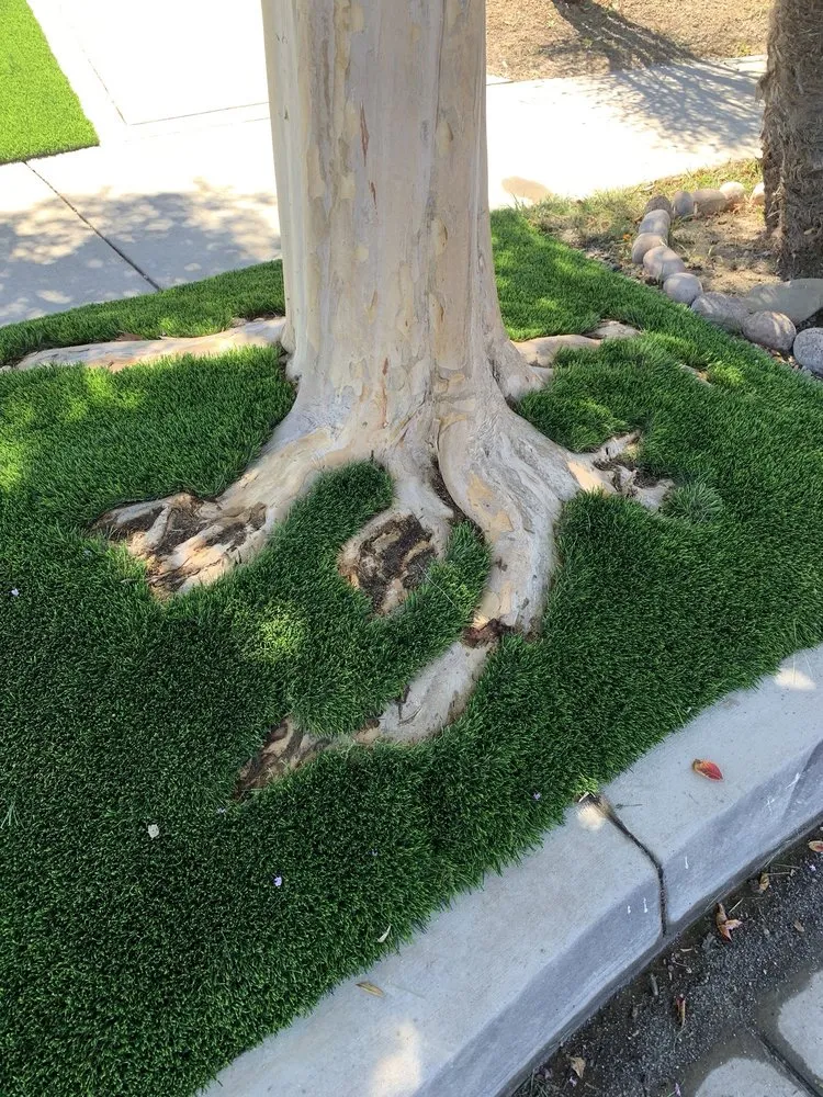 Trusted lawn care service in Santa Ana, CA by Green Plus Landscaping