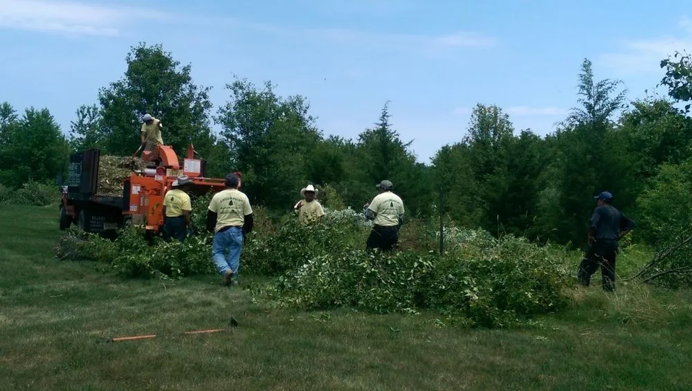 Expert landscape installation for residential properties across Ewing, NJ - Green Point Garden Services