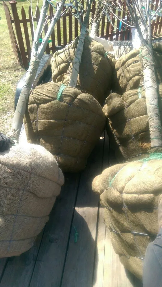 Top-rated lawn care service for outdoor upgrades across Ewing, NJ - Green Point Garden Services