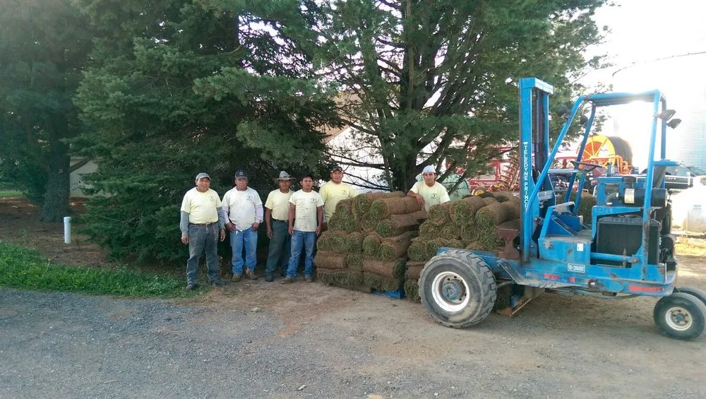 Professional garden landscaping experts serving Ewing, NJ - Green Point Garden Services