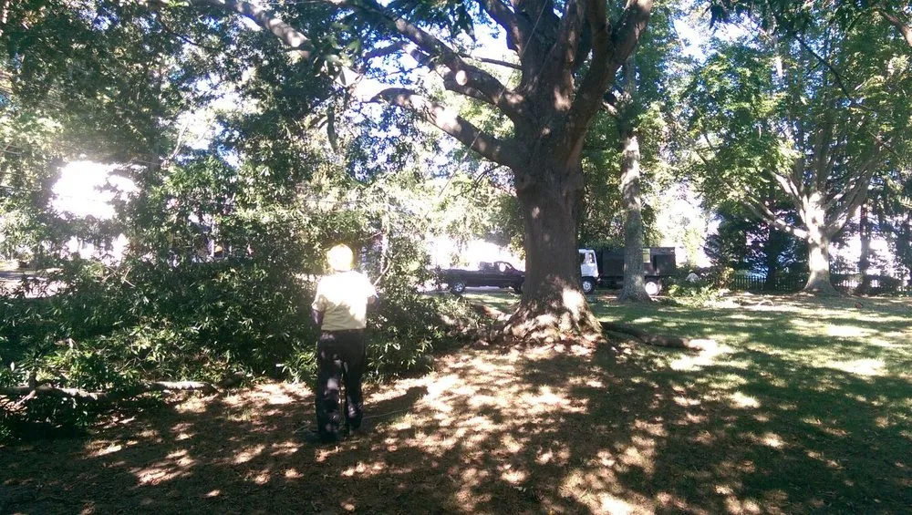 Expert landscaping services for residential properties across Ewing, NJ - Green Point Garden Services