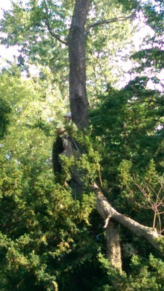 Local garden landscaping experts serving Ewing, NJ - Green Point Garden Services