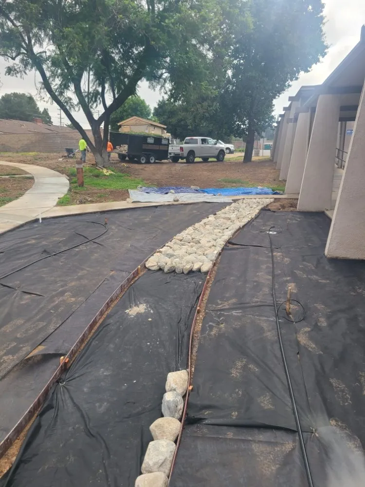 Custom yard cleanup service experts serving Diamond Bar, CA - Green Point Landscape and Contractor