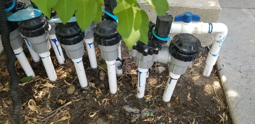 Top-rated landscape design near you across Diamond Bar, CA - Green Point Landscape and Contractor