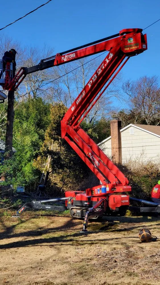 Affordable yard cleanup service experts serving Pennington, NJ - Green Point Tree Services & Landscaping