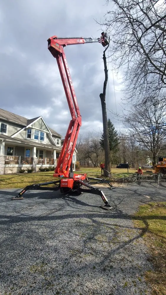 Top-rated lawn care service for year-round maintenance in Pennington, NJ by Green Point Tree Services & Landscaping