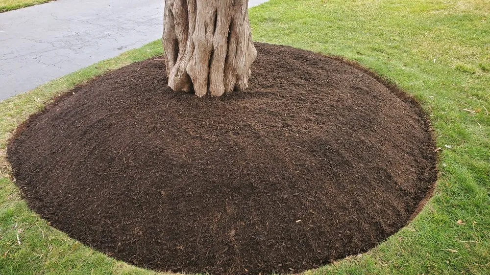 Local yard cleanup service in Pennington, NJ by Green Point Tree Services & Landscaping