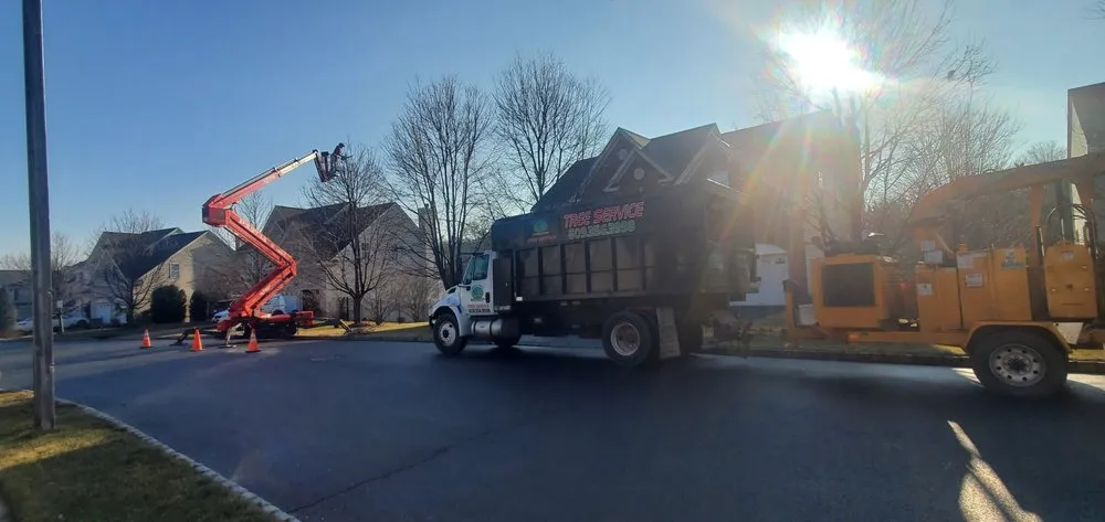 Local lawn mowing service with custom design in Pennington, NJ by Green Point Tree Services & Landscaping