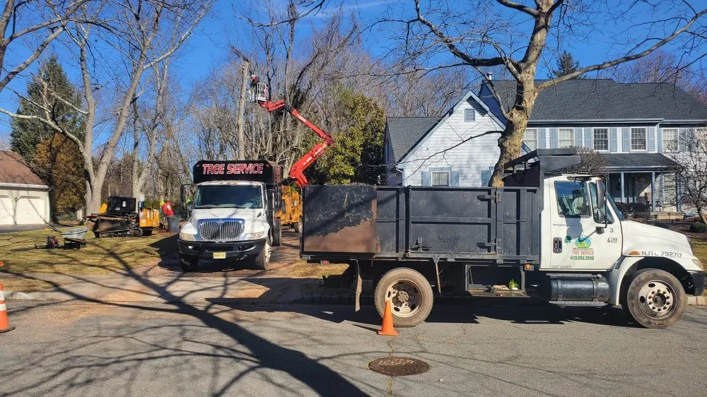 Expert lawn care service experts serving Pennington, NJ - Green Point Tree Services & Landscaping