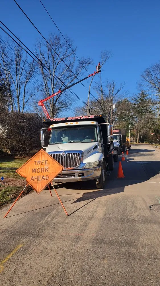 Expert garden landscaping in Pennington, NJ by Green Point Tree Services & Landscaping