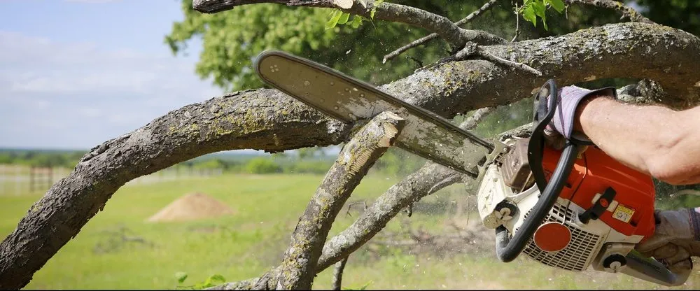 Expert residential landscaping in Pennington, NJ - Green Point Tree Services & Landscaping