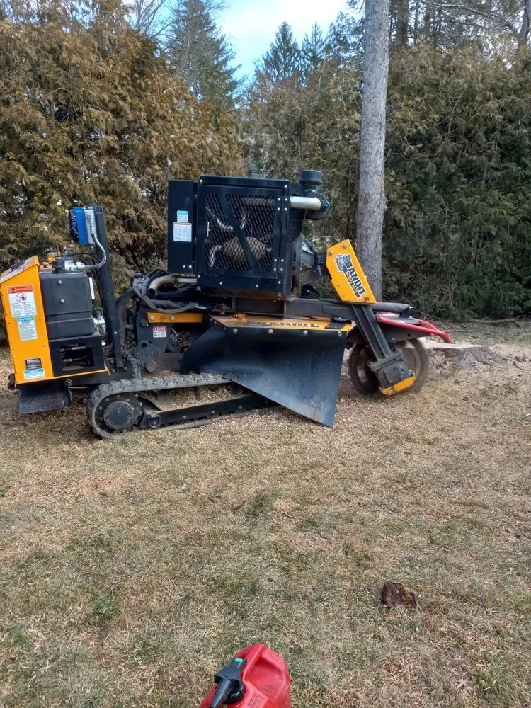 Local yard cleanup service experts serving Pennington, NJ - Green Point Tree Services & Landscaping