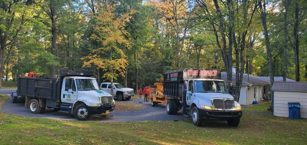 Expert yard maintenance for residential properties in Pennington, NJ by Green Point Tree Services & Landscaping