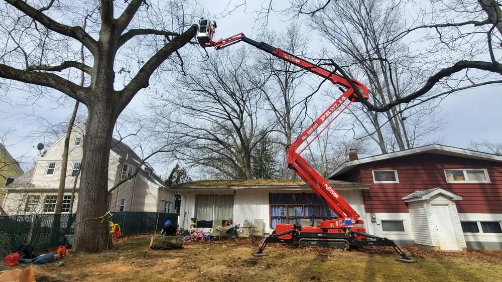 Reliable lawn care service experts serving Pennington, NJ - Green Point Tree Services & Landscaping