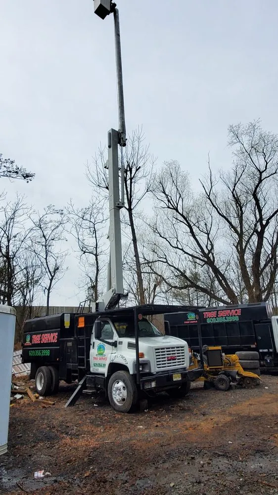 Reliable yard maintenance in Pennington, NJ by Green Point Tree Services & Landscaping