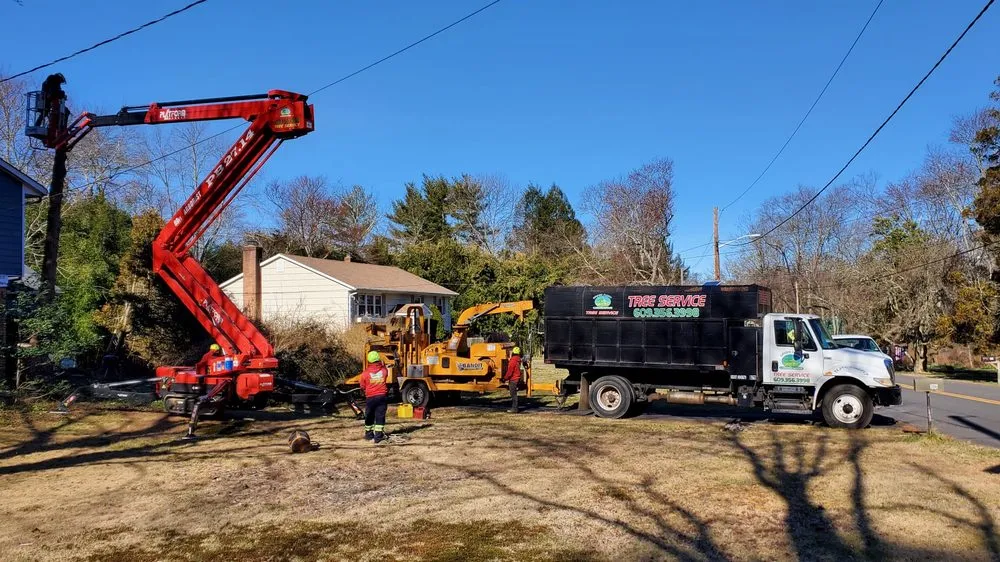 Trusted lawn care service with custom design in Pennington, NJ by Green Point Tree Services & Landscaping