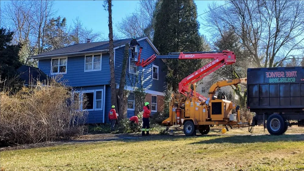 Affordable yard cleanup service for homes in Pennington, NJ by Green Point Tree Services & Landscaping