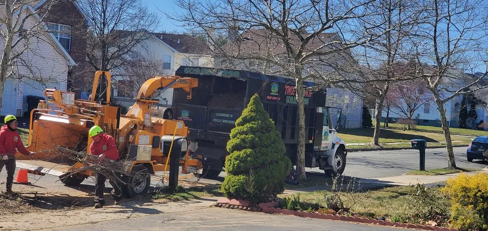 Professional yard maintenance for outdoor upgrades across Pennington, NJ - Green Point Tree Services & Landscaping