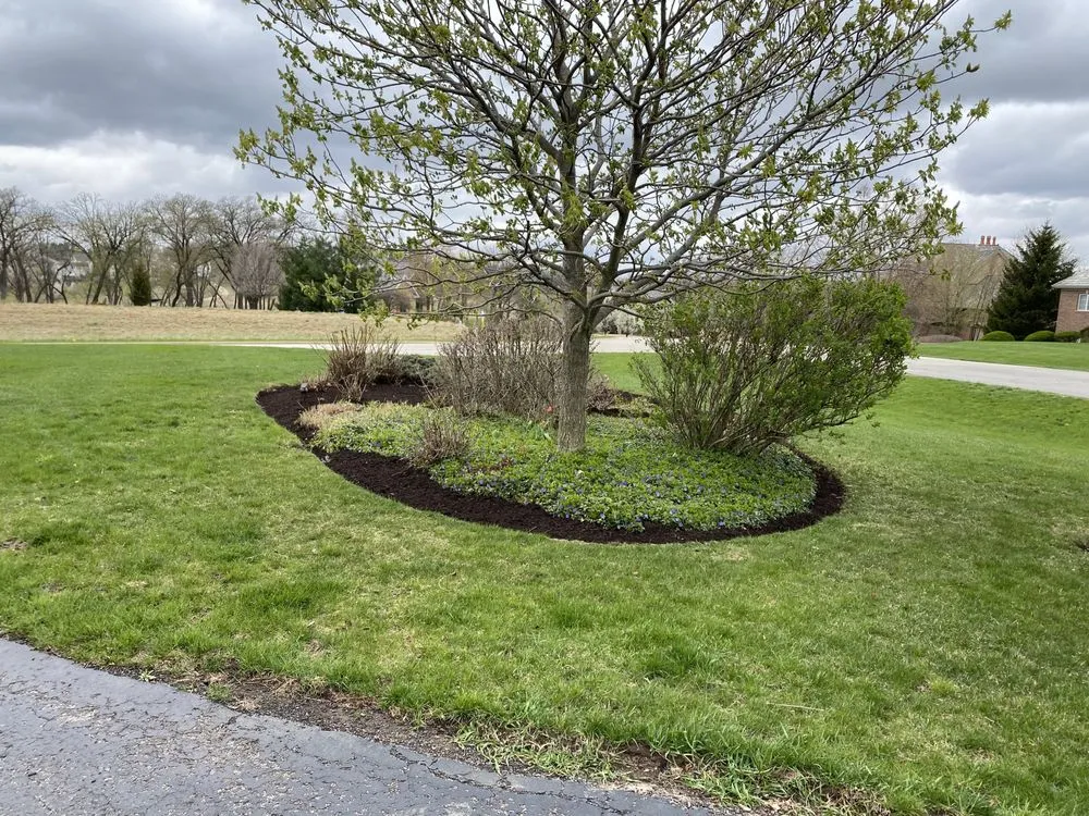 Professional lawn care service in Woodstock, IL - Green prairie landscaping