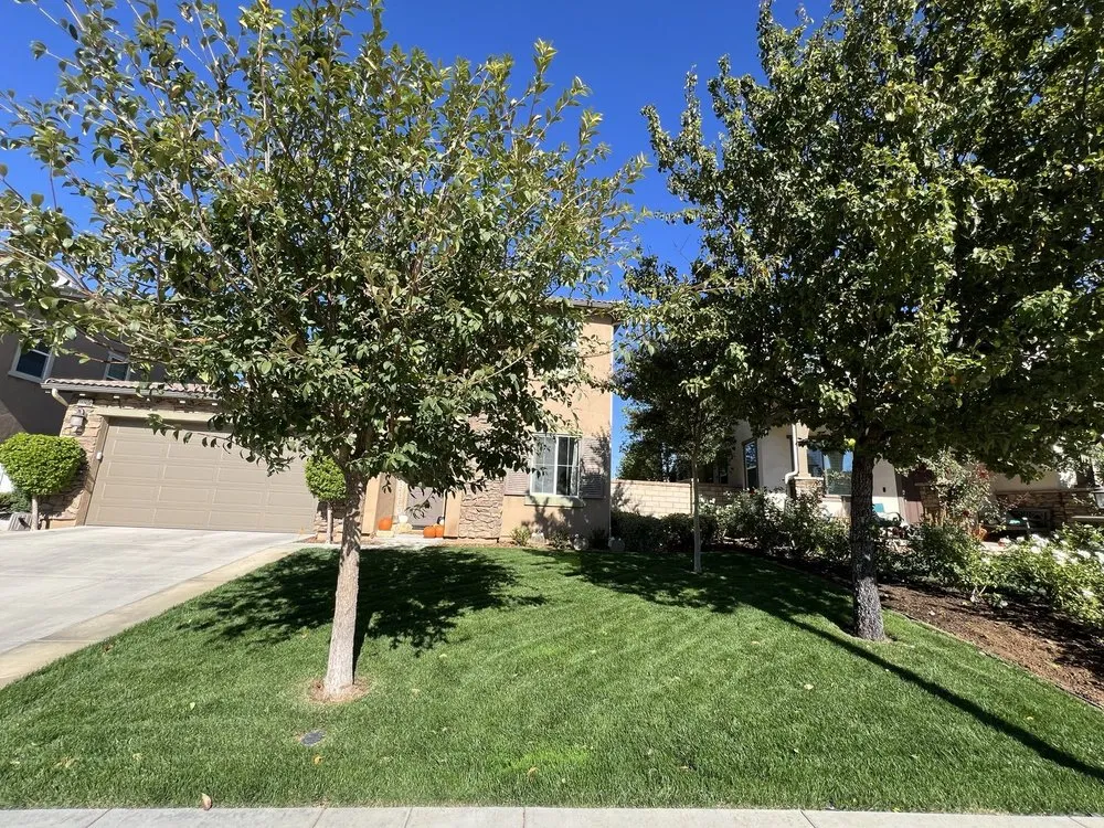 Top-rated outdoor landscaping for beautiful yards across Santa Clarita, CA - Green Pride Landscaping