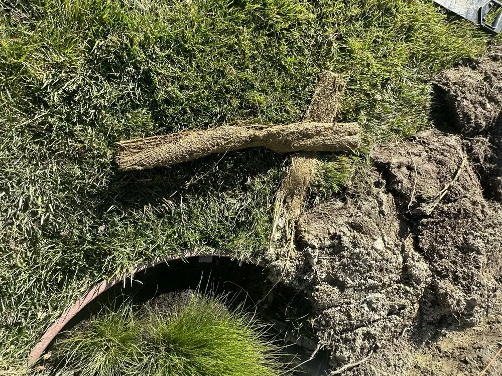 Affordable lawn care service in Santa Clarita, CA - Green Pride Landscaping