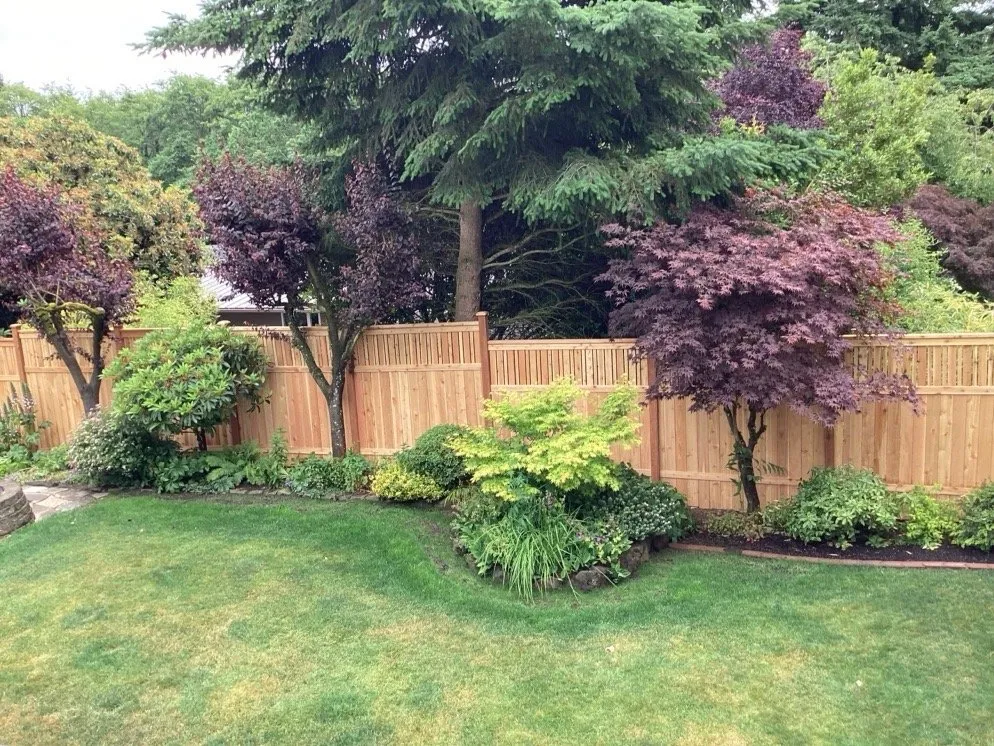 Affordable landscape installation near you across Auburn, WA - Green Pro Deluxe