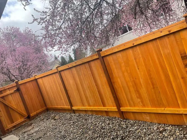 Custom lawn care service in Auburn, WA - Green Pro Deluxe