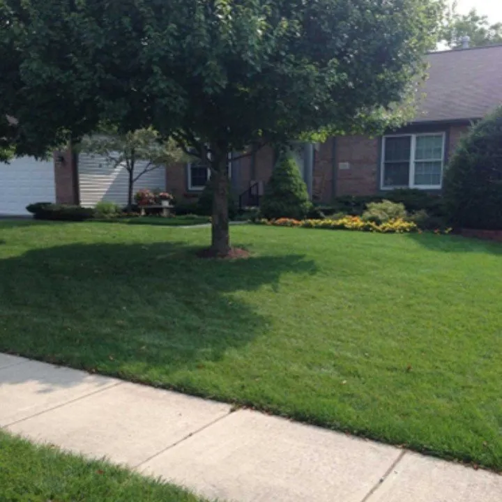 Expert outdoor landscaping experts serving Heath, OH - Green Pro Lawns
