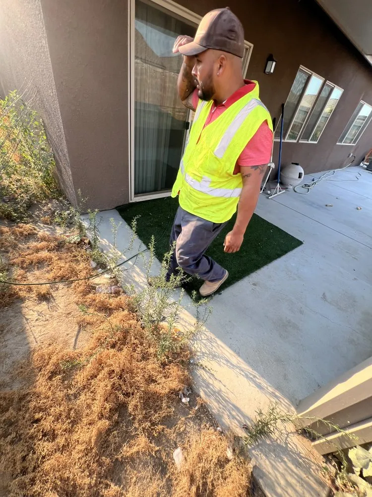 Local yard maintenance experts serving Tulare, CA - Green pro