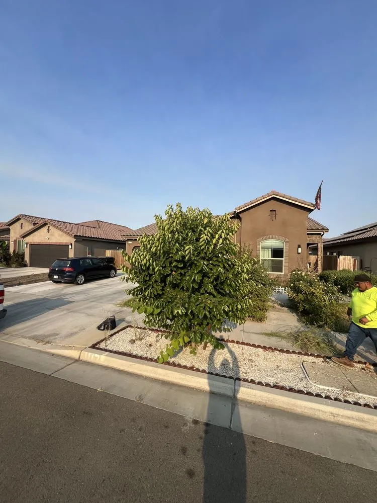 Professional yard maintenance experts serving Tulare, CA - Green pro