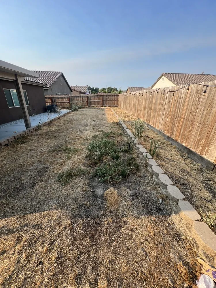 Local yard maintenance for year-round maintenance across Tulare, CA - Green pro