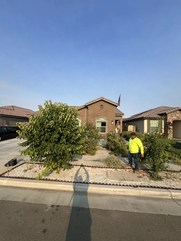 Top-rated yard maintenance for beautiful yards in Tulare, CA by Green pro