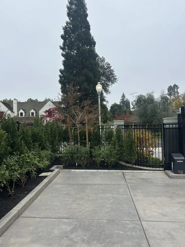 Local landscape installation experts serving Roseville, CA - Green Project Landscaping