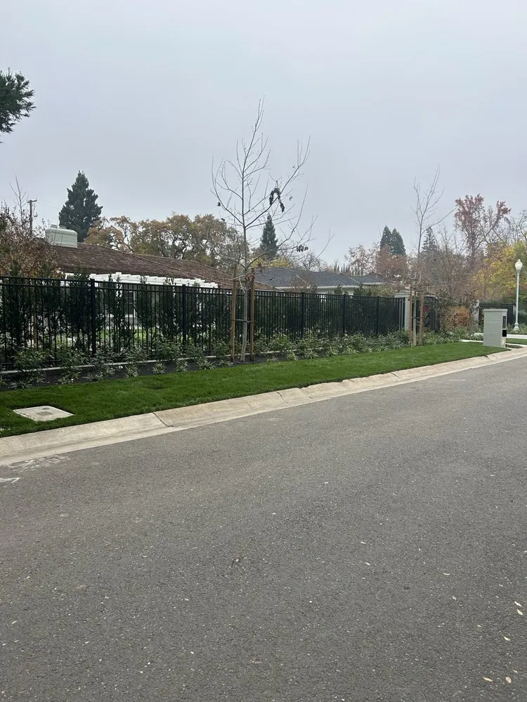 Professional residential landscaping experts serving Roseville, CA - Green Project Landscaping