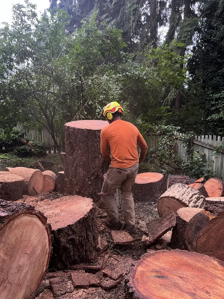 Trusted residential landscaping experts serving Lakewood, WA - Green Projects Landscape