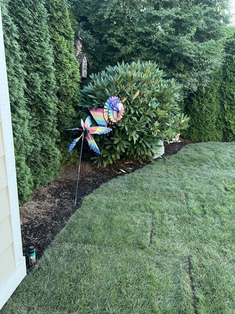 Expert outdoor landscaping for beautiful yards in Lakewood, WA by Green Projects Landscape