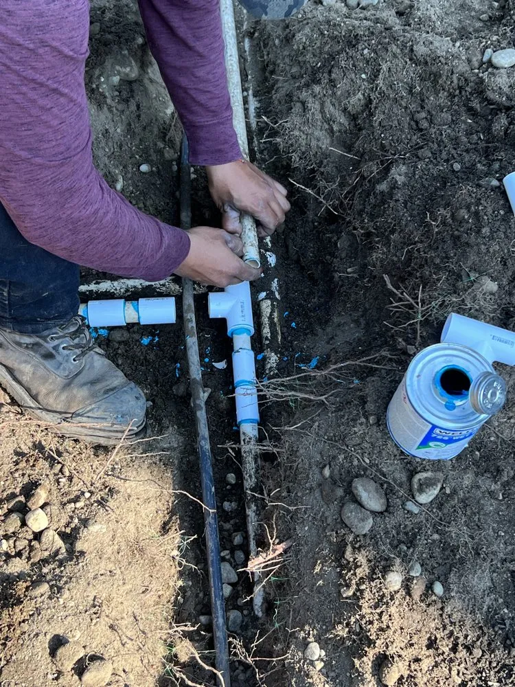 Custom residential landscaping for residential properties in Lakewood, WA by Green Projects Landscape