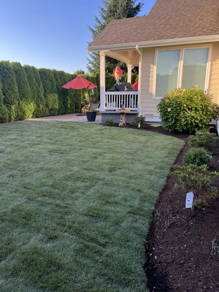 Reliable outdoor landscaping for homes across Lakewood, WA - Green Projects Landscape