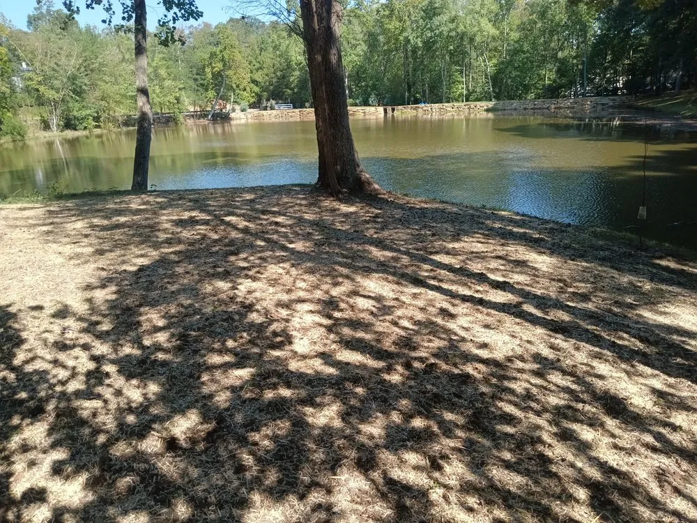 Trusted outdoor landscaping in Simpsonville, SC - Green Properties Solutions