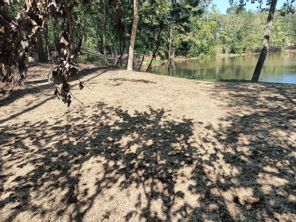 Custom landscape design in Simpsonville, SC by Green Properties Solutions