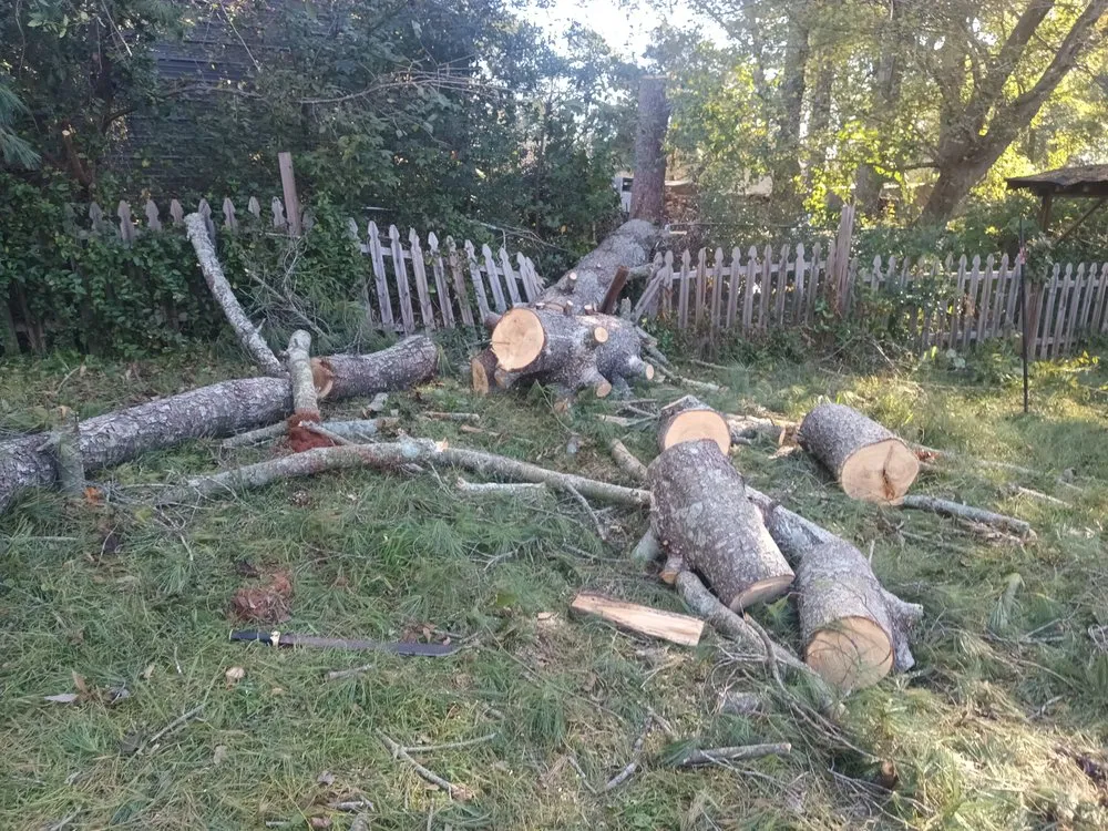 Professional lawn care service experts serving Simpsonville, SC - Green Properties Solutions