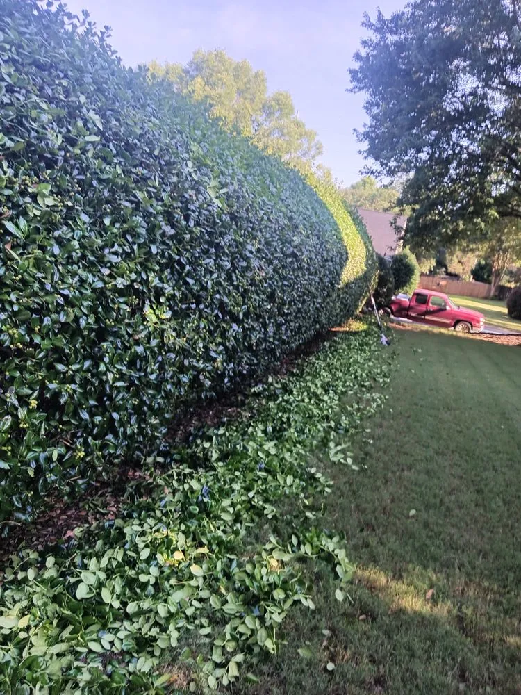 Affordable lawn mowing service experts serving Simpsonville, SC - Green Properties Solutions