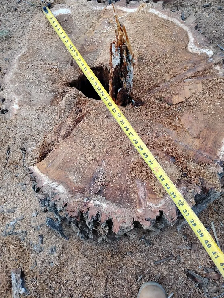 Top-rated landscape design in Silver City, NM by Green Property Maintenance Services