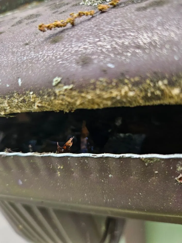 Custom landscape design in Guilford, CT - Green Protection Enviroment