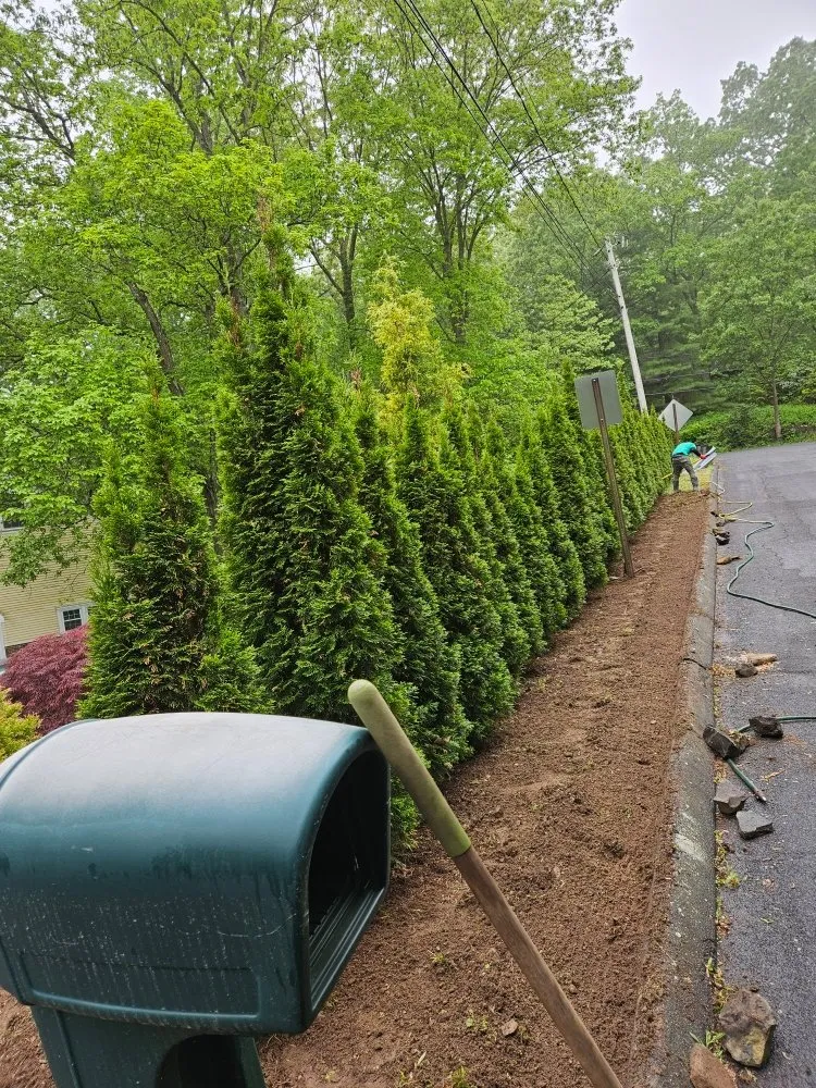 Professional yard maintenance in Guilford, CT by Green Protection Enviroment