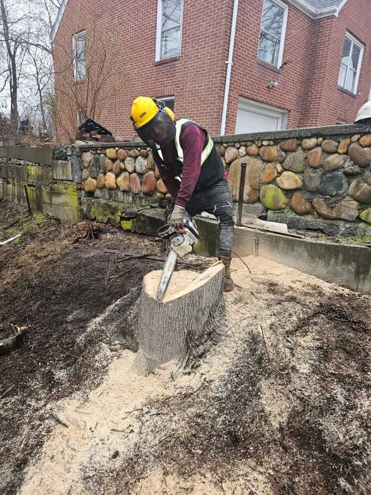 Local landscape installation for beautiful yards across Guilford, CT - Green Protection Enviroment