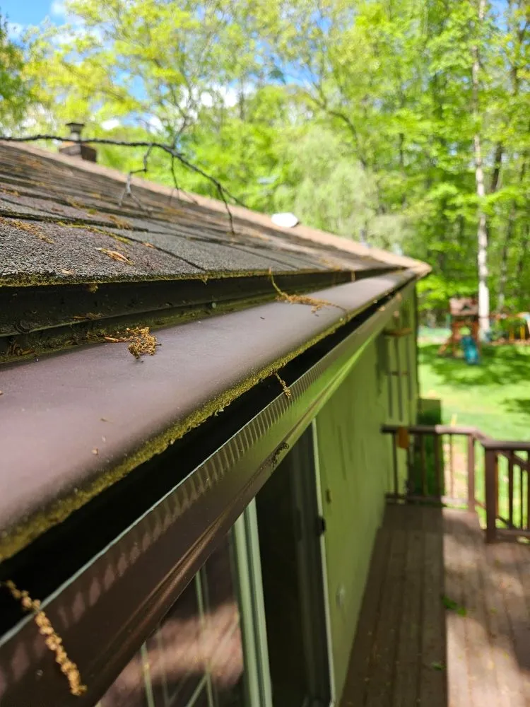 Custom landscaping services experts serving Guilford, CT - Green Protection Enviroment