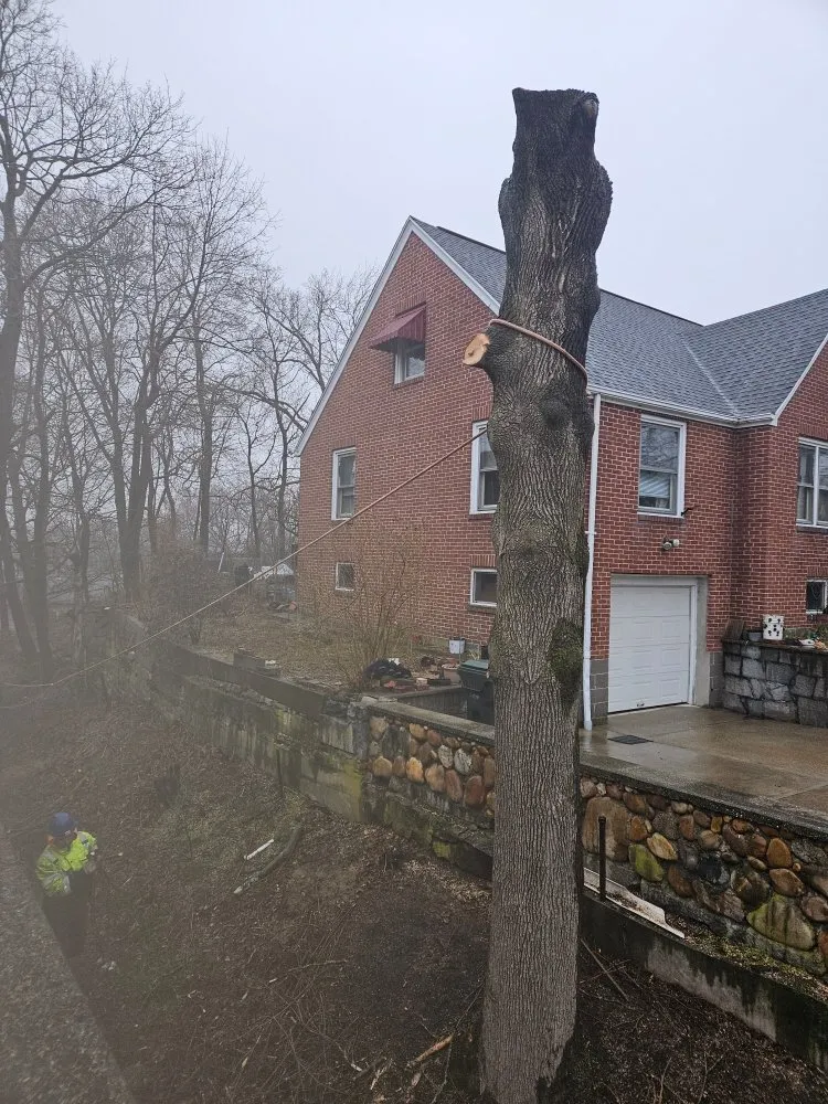 Custom landscaping services experts serving Guilford, CT - Green Protection Enviroment