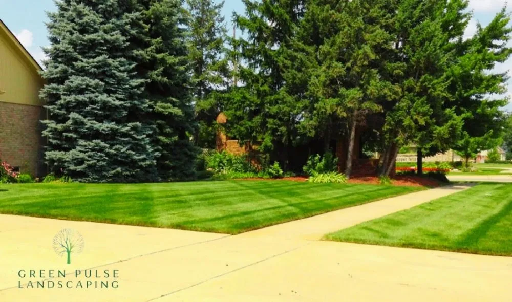 Local landscape design in Whitman, MA by Green Pulse Landscaping